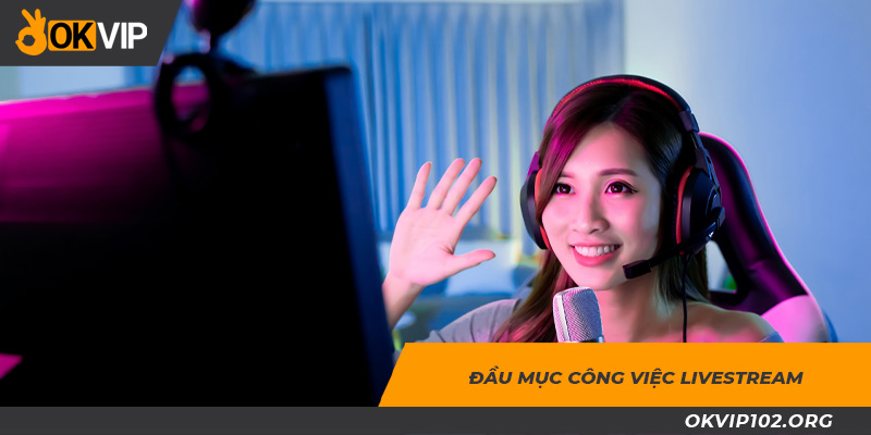 Tất cả công việc bạn sẽ thực hiện ở vị trí nhân viên livestream